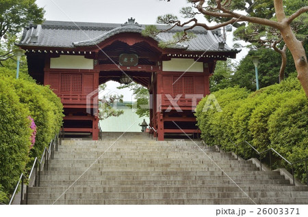 護国寺　不老門 26003371