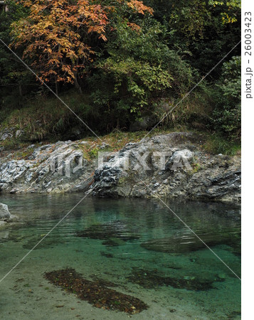 丹沢の中川川 丹沢の中川川 26003423