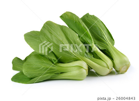 Bok choy vegetable on white background Bok choy vegetable on white background 26004843
