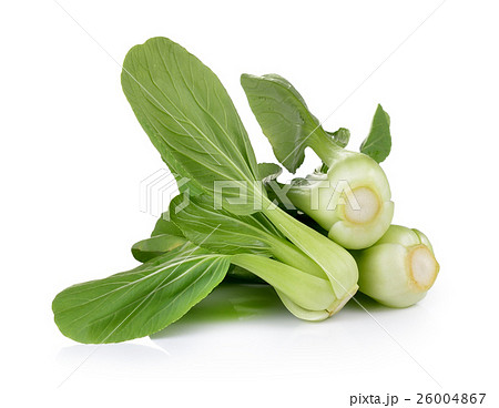 Bok choy vegetable on white background 26004867