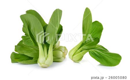 Bok choy vegetable on white background 26005080