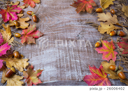 Thanksgiving  greeting background with rye, acorn  26006402