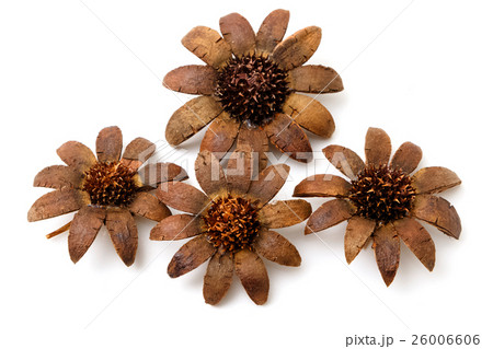 beautiful artificial flowers isolated on white beautiful artificial flowers isolated on white 26006606