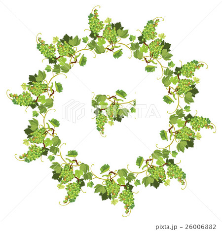 Round Grapes frame and repeated element  26006882
