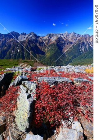 蝶ヶ岳稜線のクロマメノキの紅葉と槍・穂高連峰 26007060