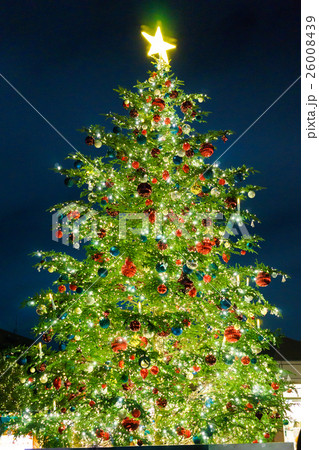 クリスマスツリー 恵比寿ガーデンプレイス イルミネーションの写真素材
