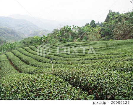 台湾 台北 台北市 26009122