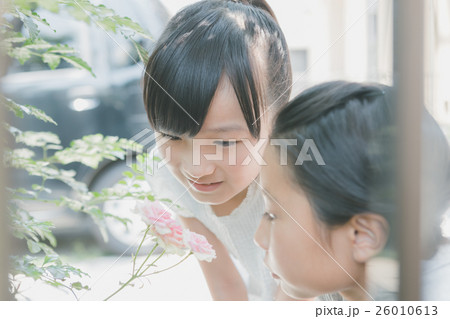 Fun summer holidays Fun summer holidays 26010613