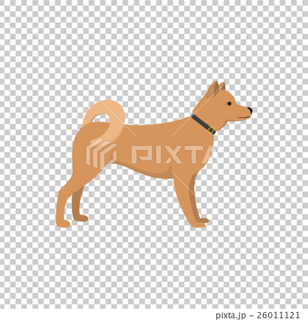 Akita Inu Dog Asian Breed On White Backgroundのイラスト素材