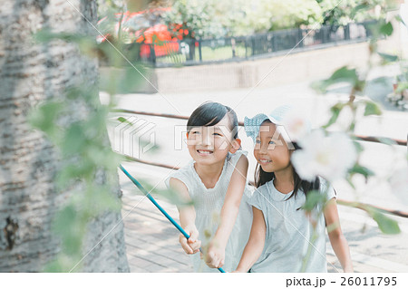 Fun summer holidays 26011795