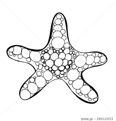 sea star 26012033
