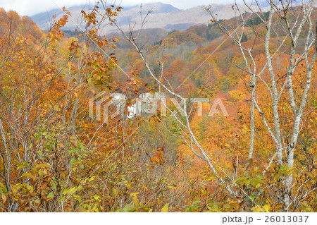 秋の出羽三山 26013037