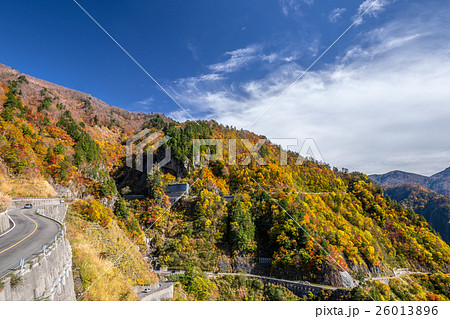 白山白川郷ホワイトロードの紅葉 白山白川郷ホワイトロードの紅葉 26013896