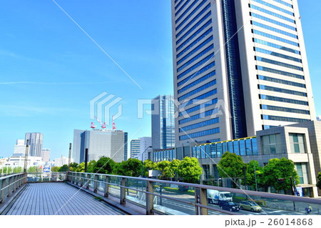 みなとみらいオフィスビルと緑の街路樹 みなとみらいオフィスビルと緑の街路樹 26014868