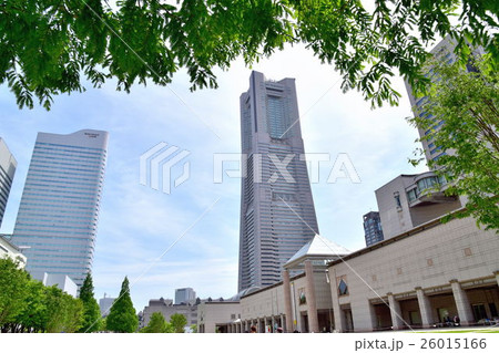 ランドマークタワーとオフィスビルと緑の街路樹 26015166