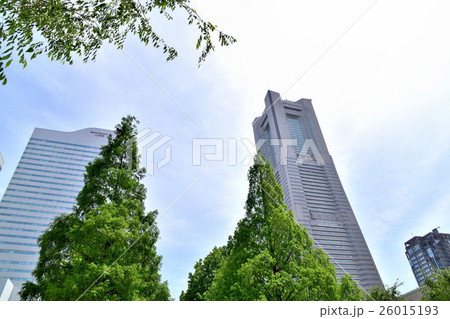 ランドマークタワーとオフィスビルと緑の街路樹 ランドマークタワーとオフィスビルと緑の街路樹 26015193
