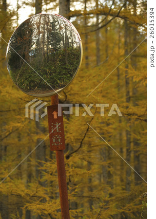 紅葉を写すミラー 26015394