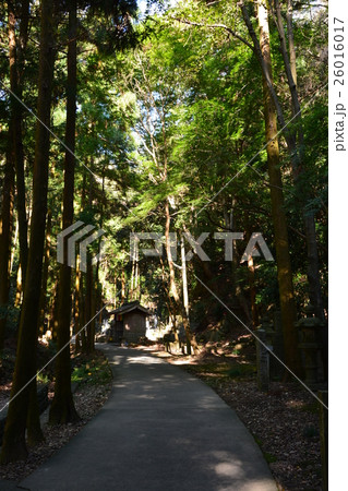 尾張高野山宗 岩屋寺 尾張高野山宗 岩屋寺 26016017