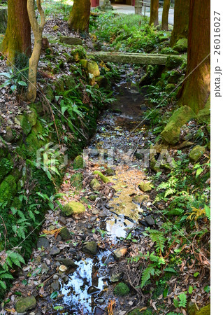 尾張高野山宗　岩屋寺 26016027