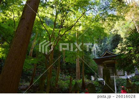 尾張高野山宗 岩屋寺 尾張高野山宗 岩屋寺 26016028