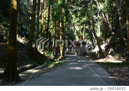 尾張高野山宗　岩屋寺 26016032