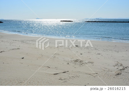 晩秋の海　伊勢湾 26016215