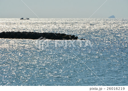 晩秋の海　伊勢湾 26016219