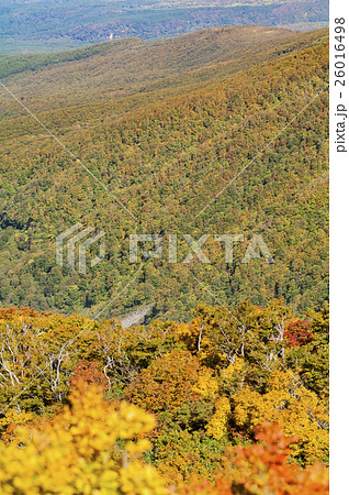 鳥海山 26016498