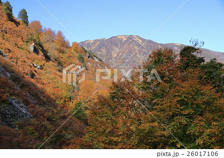 紅葉と浅草岳 26017106