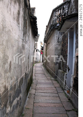 中国 西塘の猫がいる路地 縦構図 中国 西塘の猫がいる路地 縦構図 26017175