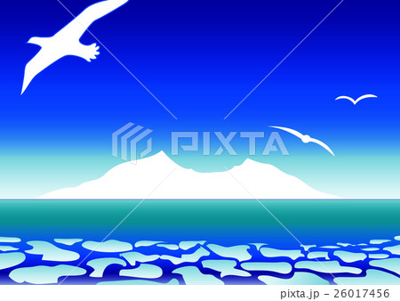 流氷の海 氷山と海鳥のイラスト素材 26017456 Pixta