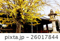 京都の紅葉 京都の紅葉 26017844