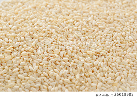 米麹 米麹 26018985