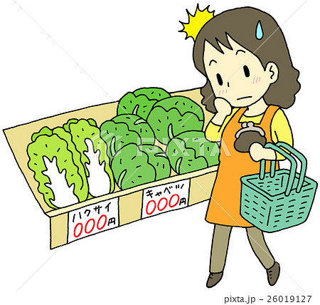 野菜　高値　女性 26019127