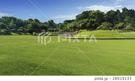 trees grassland garden with blue sky background 26019133