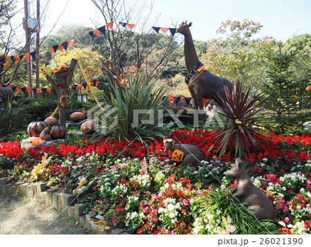 金沢動物園　ハロウィンどうぶつ 26021390