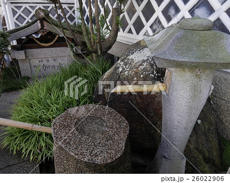 酒の都西条の仕込み水 26022906