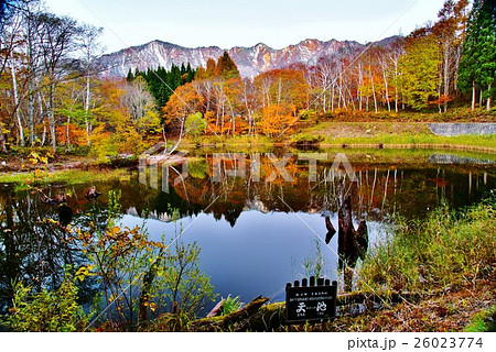 秋山郷 紅葉 初雪湖面に映える天池の秋の写真素材