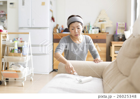 カーペットクリーナー 26025348