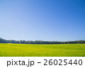青空　緑 26025440