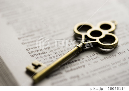 Business concept  key for growth 26026114