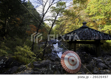 秋の紅葉日光大谷川憾満ヶ淵 26026497