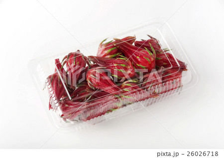 ローゼル ローゼル 26026718