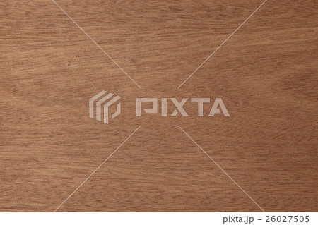 サベリ サベリ 26027505