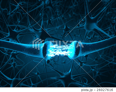 Inside the brain. Concept of neurons. Inside the brain. Concept of neurons. 26027616