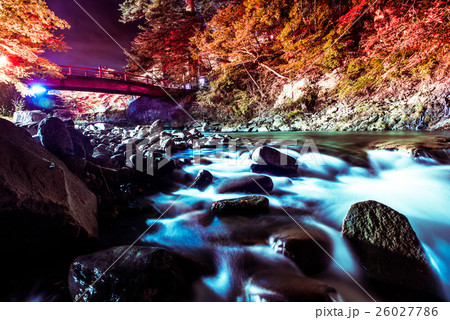 中野もみじ山 秋の紅葉ライトアップ「光のファンタジー」 中野もみじ山 秋の紅葉ライトアップ「光のファンタジー」 26027786