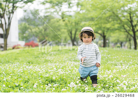 公園で遊ぶ幼児 26029468