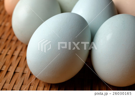 アローカナ卵 アローカナ卵 26030165