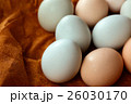 アローカナ卵 アローカナ卵 26030170