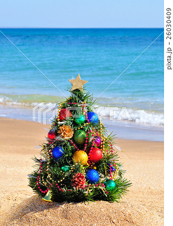 Christmas tree on beach Christmas tree on beach 26030409